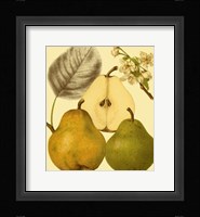 Ripe for Harvest III Fine Art Print