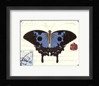 Butterfly Prose III Framed Print
