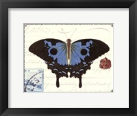 Butterfly Prose III Framed Print