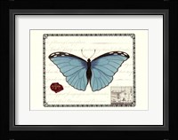 Butterfly Prose IV Fine Art Print