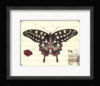 Butterfly Prose V Fine Art Print