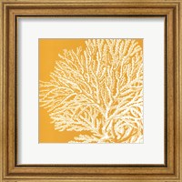Saturated Coral I Fine Art Print