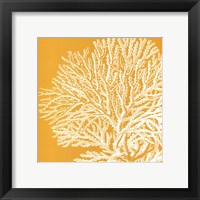 Saturated Coral I Framed Print