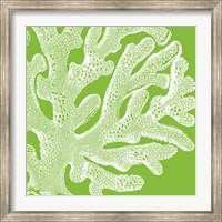 Saturated Coral II Fine Art Print