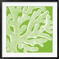 Saturated Coral II Fine Art Print