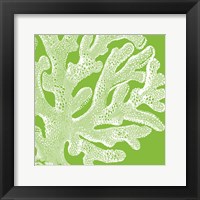 Saturated Coral II Framed Print