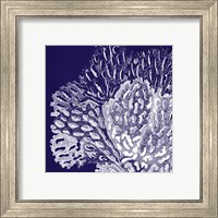 Saturated Coral III Fine Art Print
