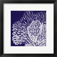 Saturated Coral III Framed Print