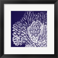 Saturated Coral III Framed Print