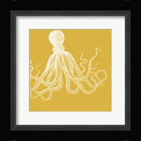 Saturated Sealife I Framed Print