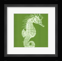 Saturated Sealife II Framed Print