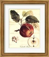 Custom Tuscan Fruits I (AO) Fine Art Print