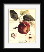 Custom Tuscan Fruits I (AO) Framed Print