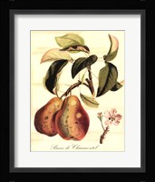 Custom Tuscan Fruits IV (AO) Framed Print