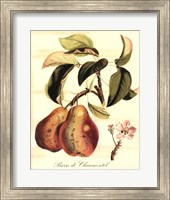 Custom Tuscan Fruits IV (AO) Fine Art Print