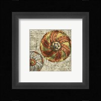 Vintage Rosette III Framed Print