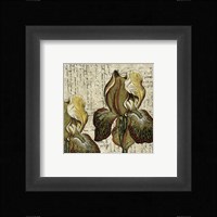 Vintage Composition III Fine Art Print