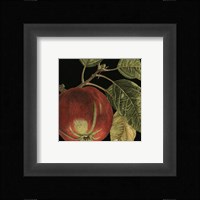 Dramatic Apple Fine Art Print