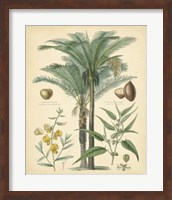 Fruitful Palm I Fine Art Print