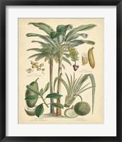 Fruitful Palm II Fine Art Print