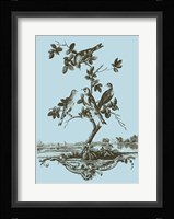 Avian Toile I Fine Art Print