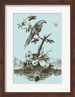 Avian Toile III Fine Art Print