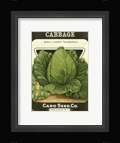 Cabbage Framed Print