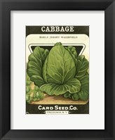 Cabbage Framed Print