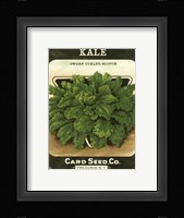 Kale Framed Print