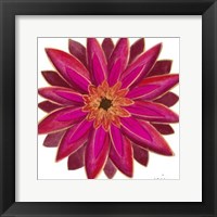 Bright Blossoms III Framed Print