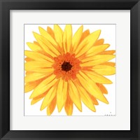 Bright Blossoms IV Framed Print
