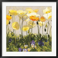 Poppies and Pansies II Fine Art Print