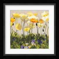 Poppies and Pansies II Framed Print