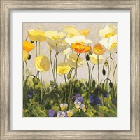 Poppies and Pansies II Fine Art Print