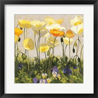 Poppies and Pansies II Fine Art Print