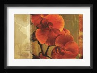 Crimson Delight Fine Art Print
