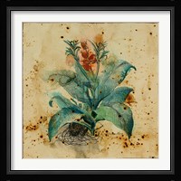 Aloe II Fine Art Print