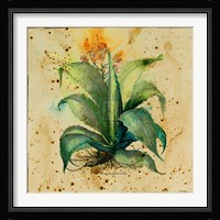 Aloe IV Fine Art Print