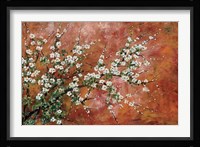 Wild Plum Blossoms Fine Art Print