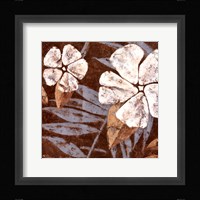 Flowers on Chocolate II Framed Print