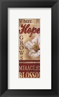 Where Hope Grows Fine Art Print