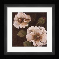 Cacao Allure I Framed Print