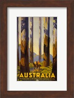 Australia - Tallest Trees Fine Art Print