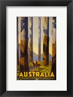 Australia - Tallest Trees Fine Art Print