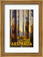 Australia - Tallest Trees Fine Art Print