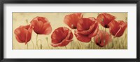 Poppies Grace II Framed Print