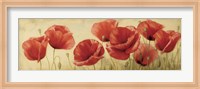 Poppies Grace II Fine Art Print