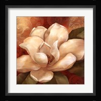 Southern Garden II Fine Art Print