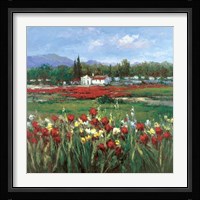 Red Flower Field Fine Art Print