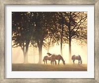 Horses in the Mist Fine Art Print